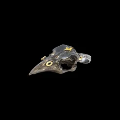 BIRD SKULL ENHANCER WITH BLACK SAPPHIRE AND CRIVELLI DETAILS