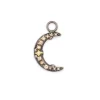 Crescent Moon Charm