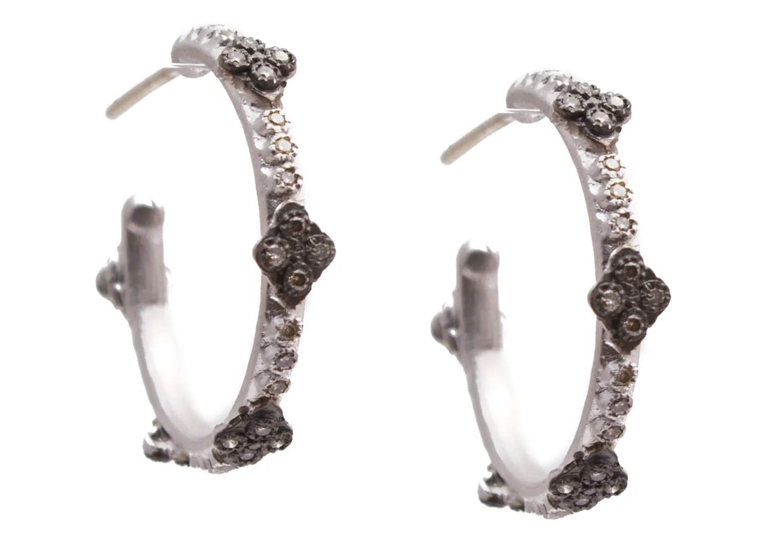 Crivelli Hoop Earrings
