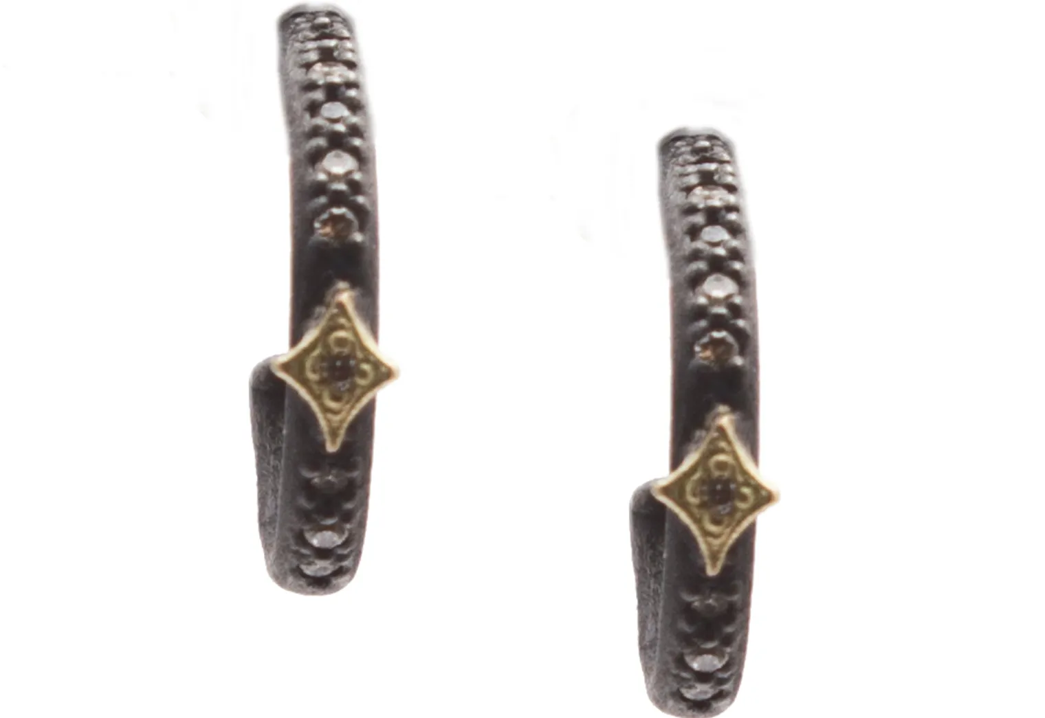 Crivelli Hoop Earrings