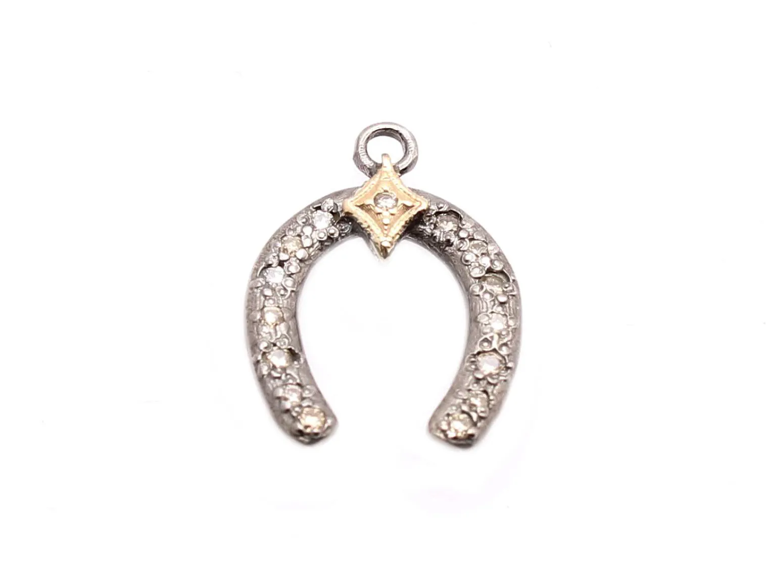 Horseshoe Charm