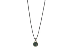 Lion Medallion Pendant on Chain Necklace