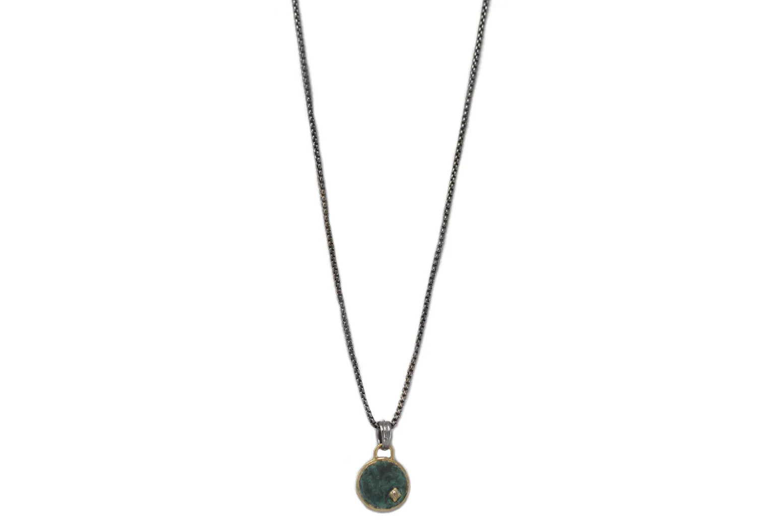 Lion Medallion Pendant on Chain Necklace
