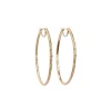 Oval Hoop Earrings
