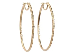 Oval Hoop Earrings
